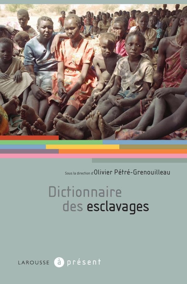 Dictionnaire des esclavages book