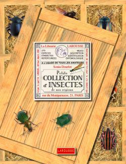 Petite collection d'insectes de nos régions Leisure, Home & Garden
