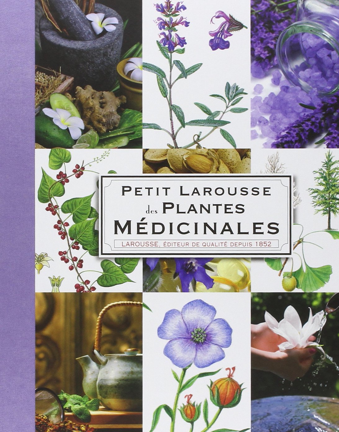 Petit Larousse des plantes médicinales book