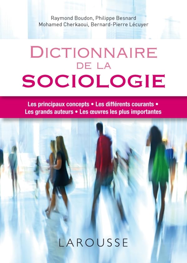 Dictionnaire de la sociologie book