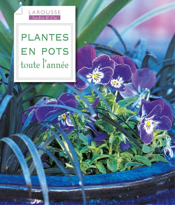 Plantes en pots toute l'année Books