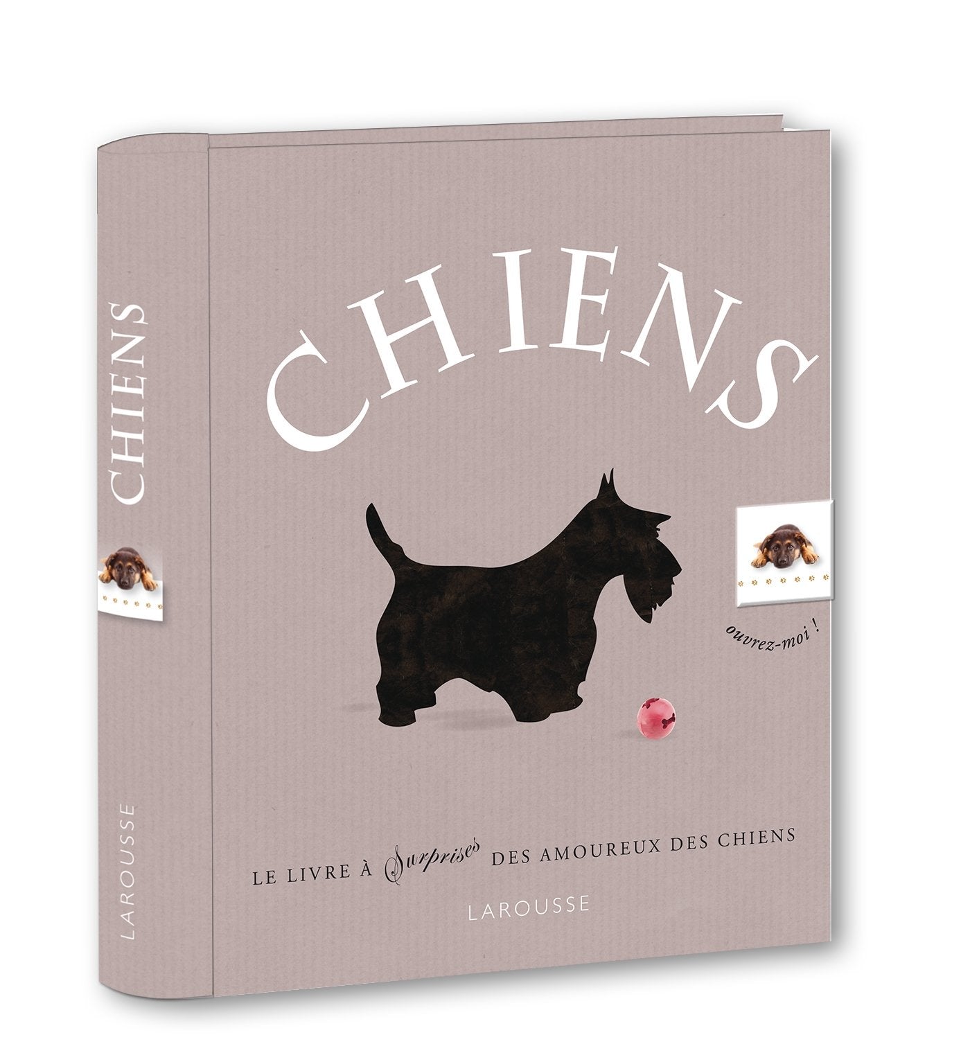 Chiens Leisure, Home & Garden
