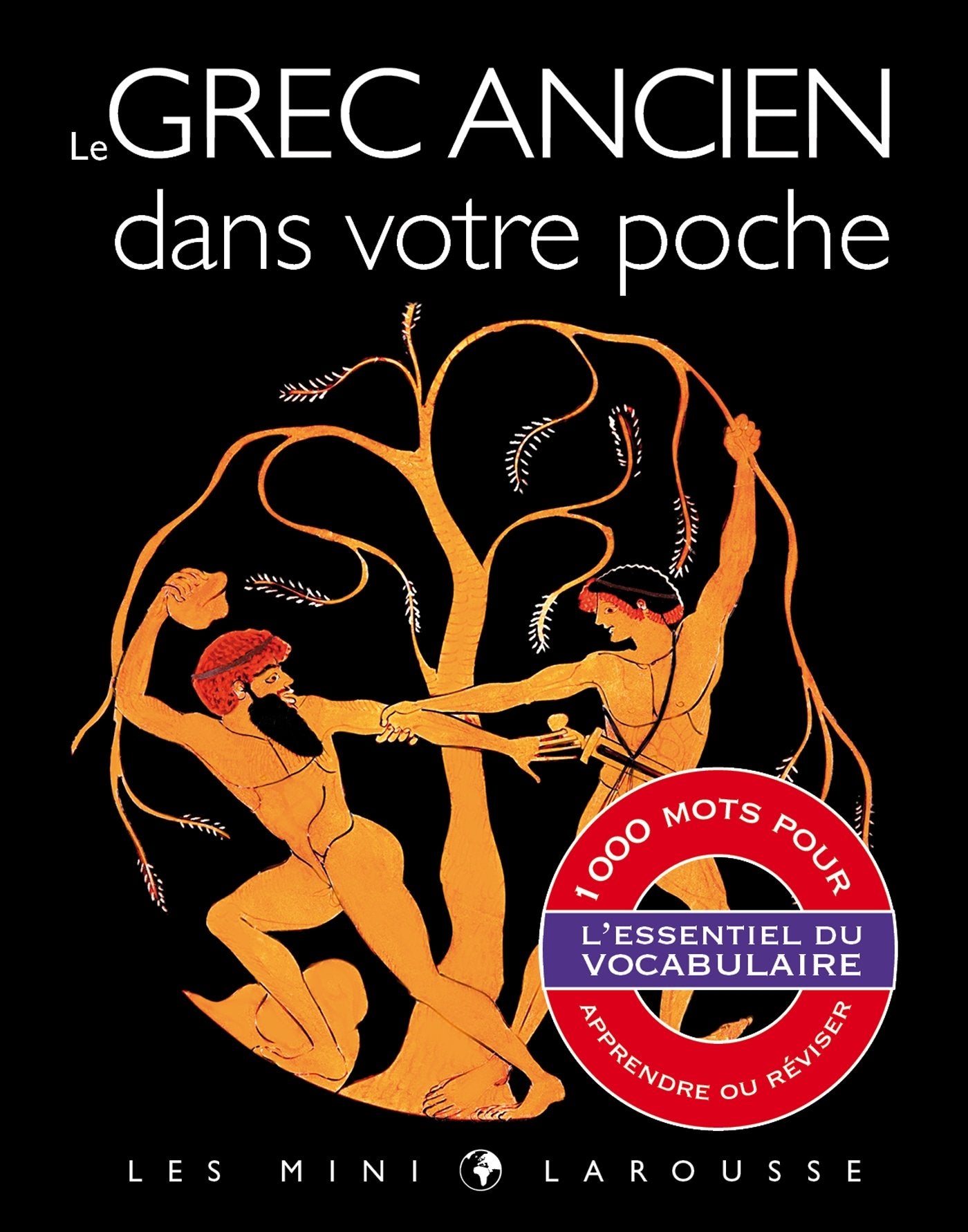 Le grec ancien dans votre poche: 1000 mots pour apprendre ou réviser Books