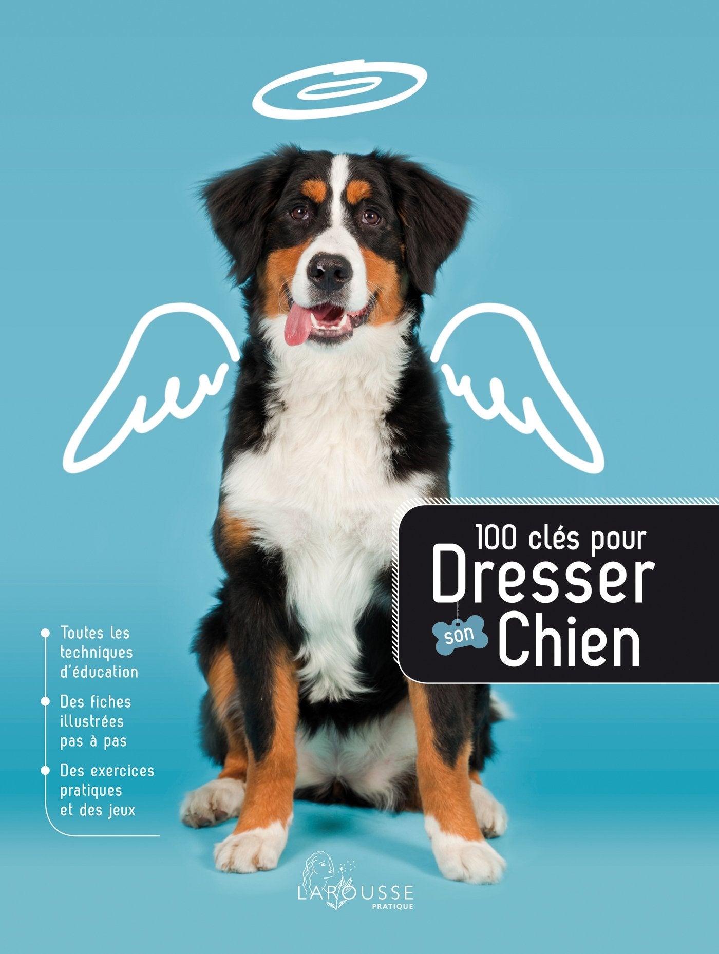 100 clés pour dresser son chien Leisure, Home & Garden