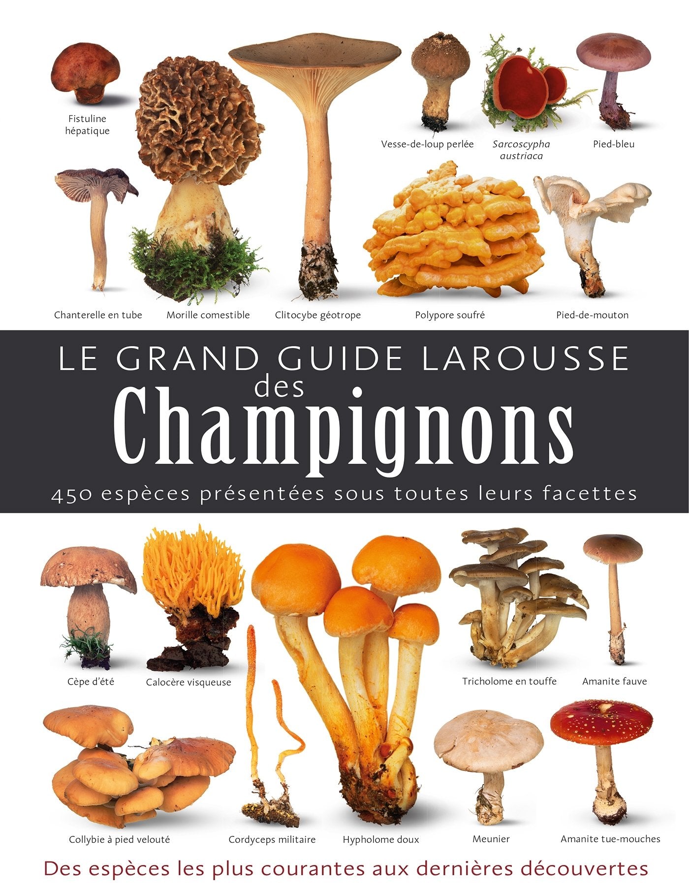 Le grand guide Larousse des champignons: 450 espèces présentées sous toutes leurs facettes Books