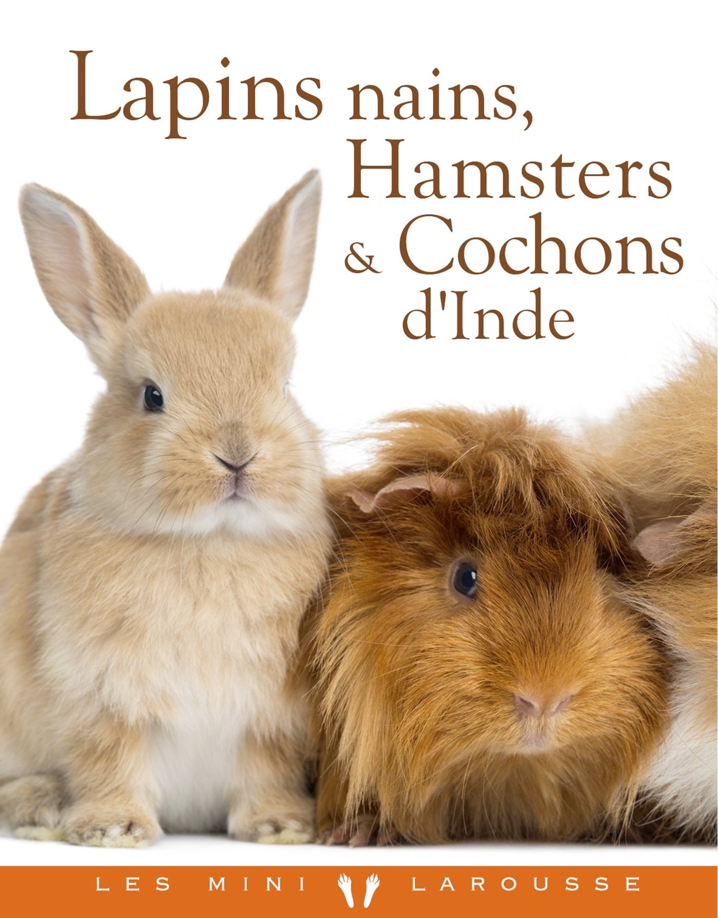 Lapins nains, Hamsters et Cobayes Leisure, Home & Garden