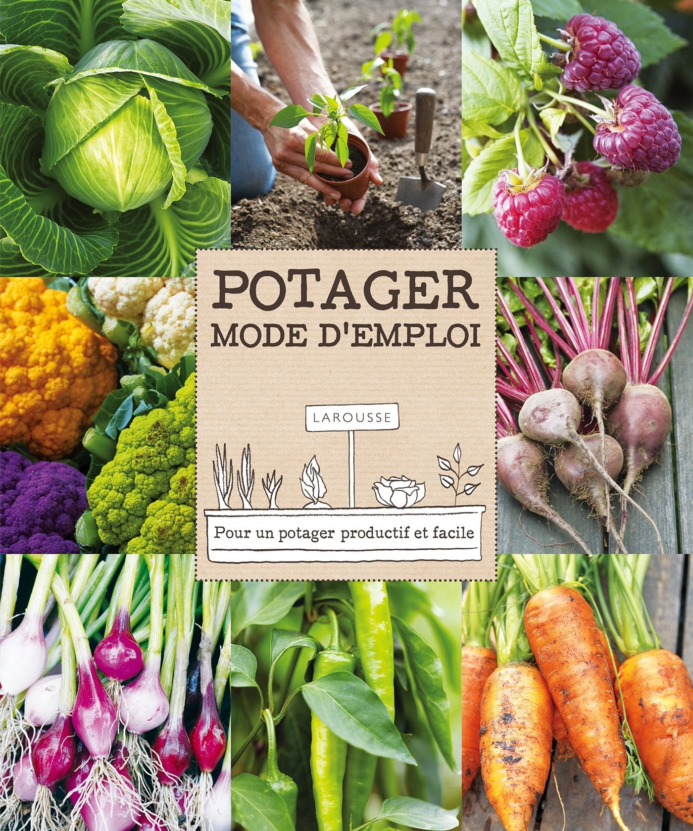 Potager mode d'emploi: Pour un potager productif et facile Books