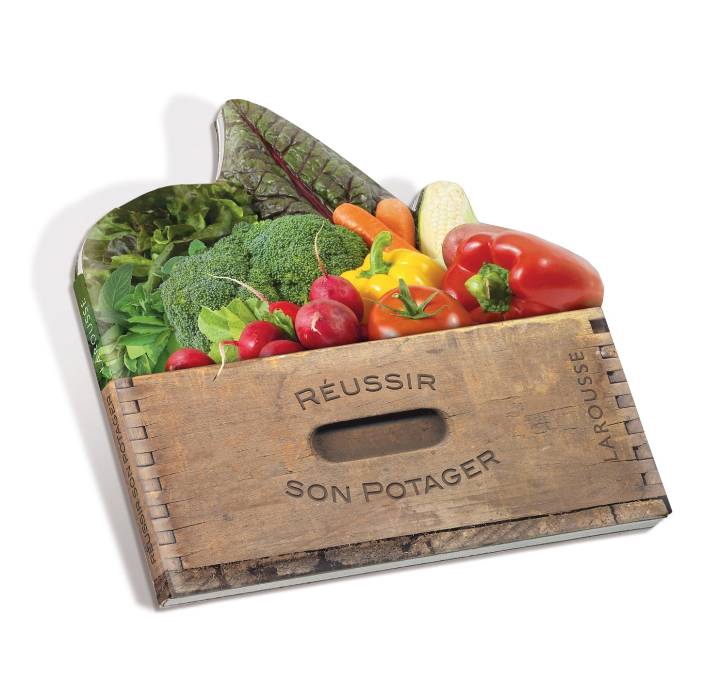 Réussir son potager (panier de légumes) book