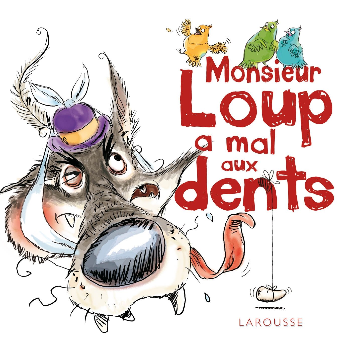 Monsieur Loup a mal aux dents book