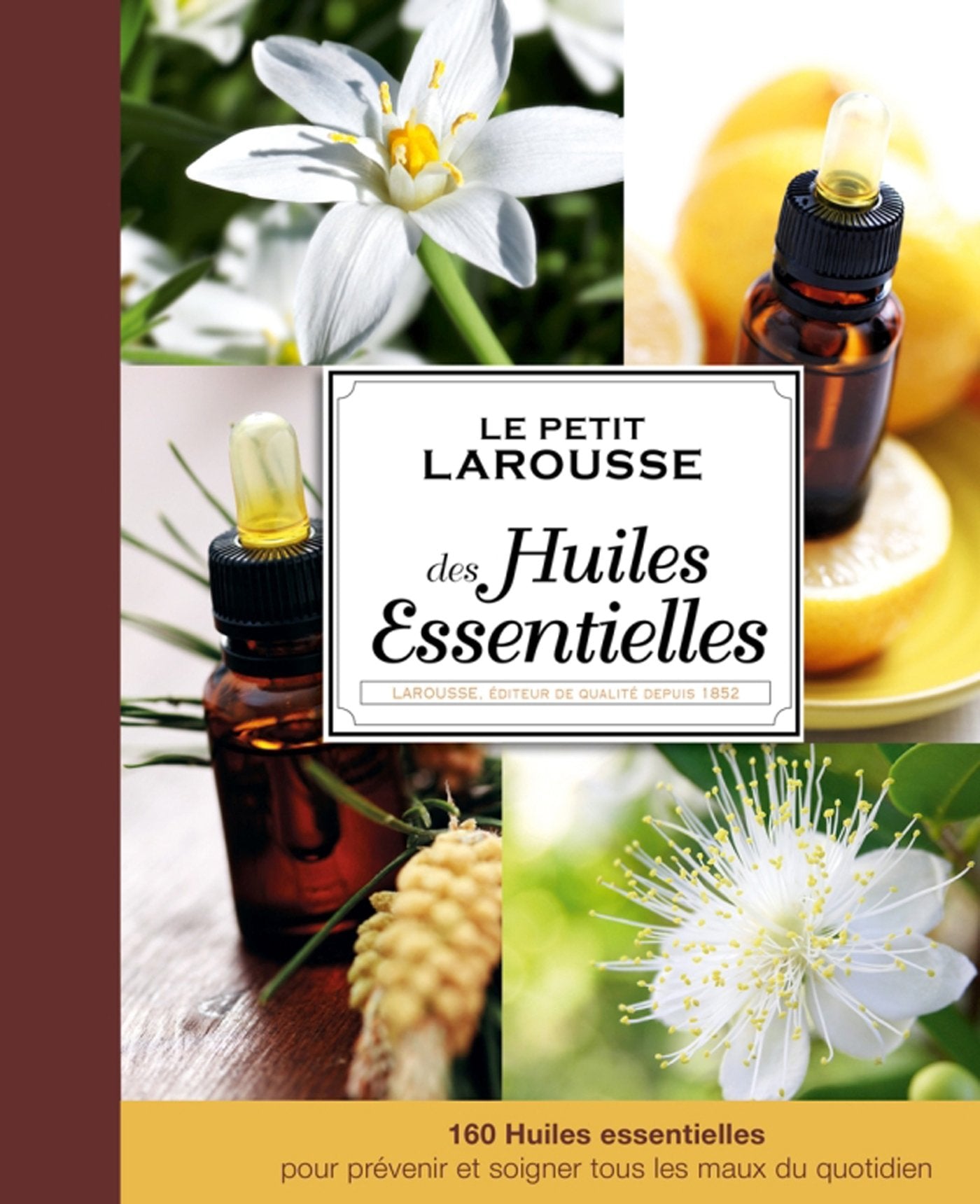 Petit Larousse des huiles essentielles book