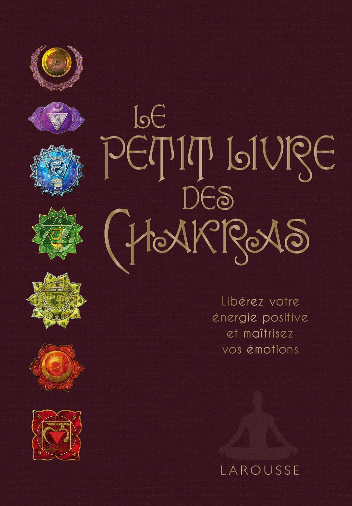 Le petit livre des Chakras book