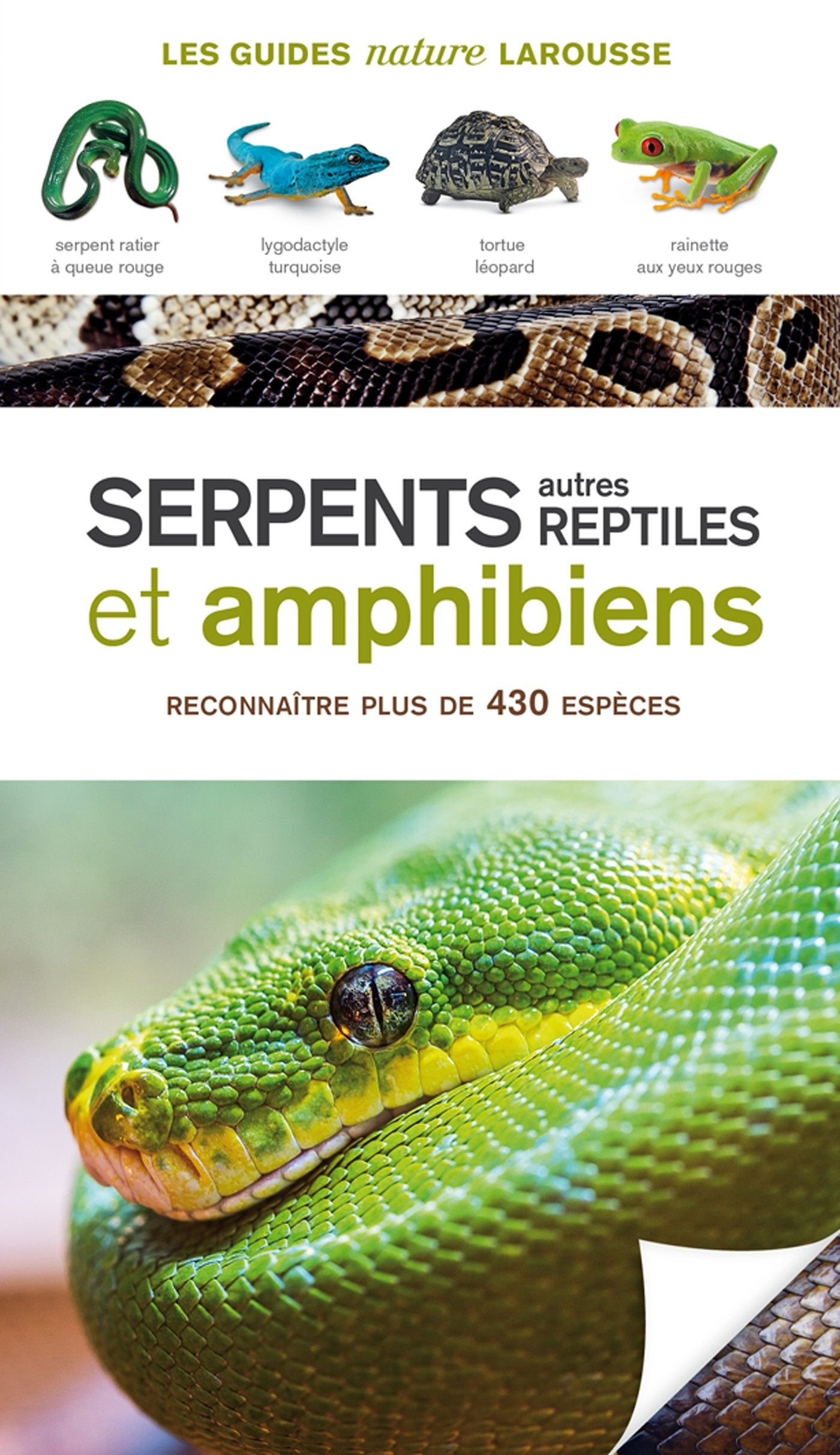 Serpents, autres reptiles et amphibiens: Reconnaître plus de 430 espèces Leisure, Home & Garden