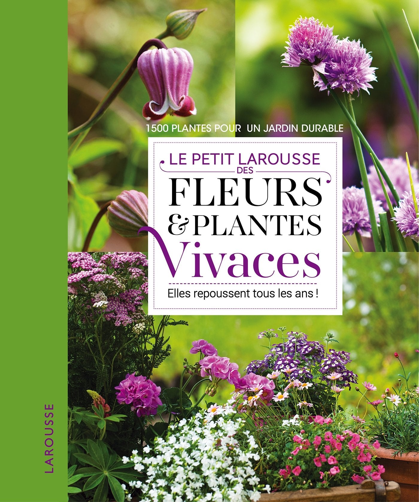 Petit Larousse fleurs et plantes vivaces Garden & Plants