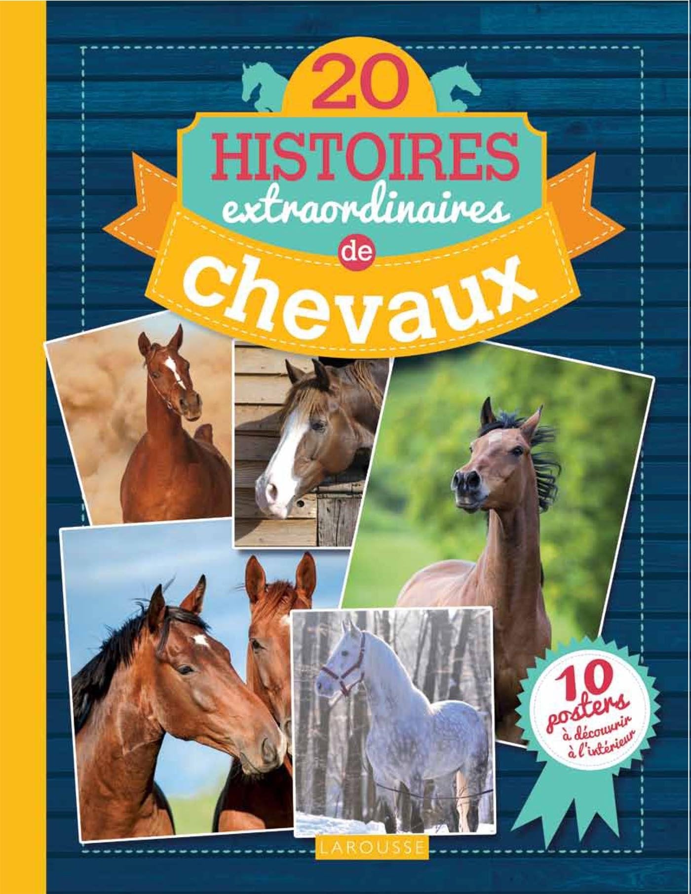 20 histoires extraordinaires de chevaux book