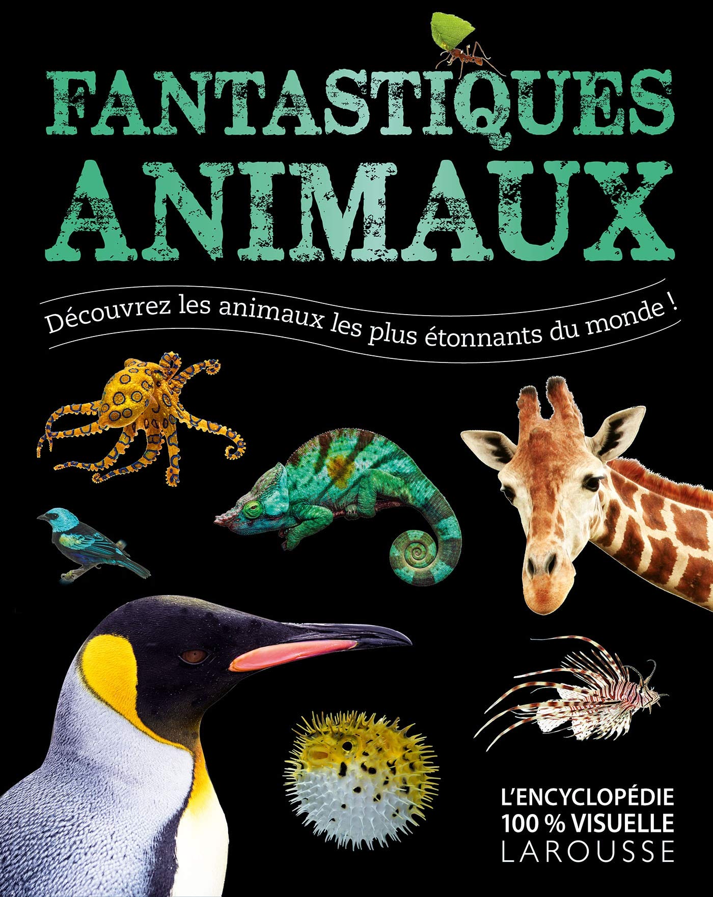 Fantastiques Animaux: Découvrez les animaux les plus étonnants du monde ! Essays & Short Stories