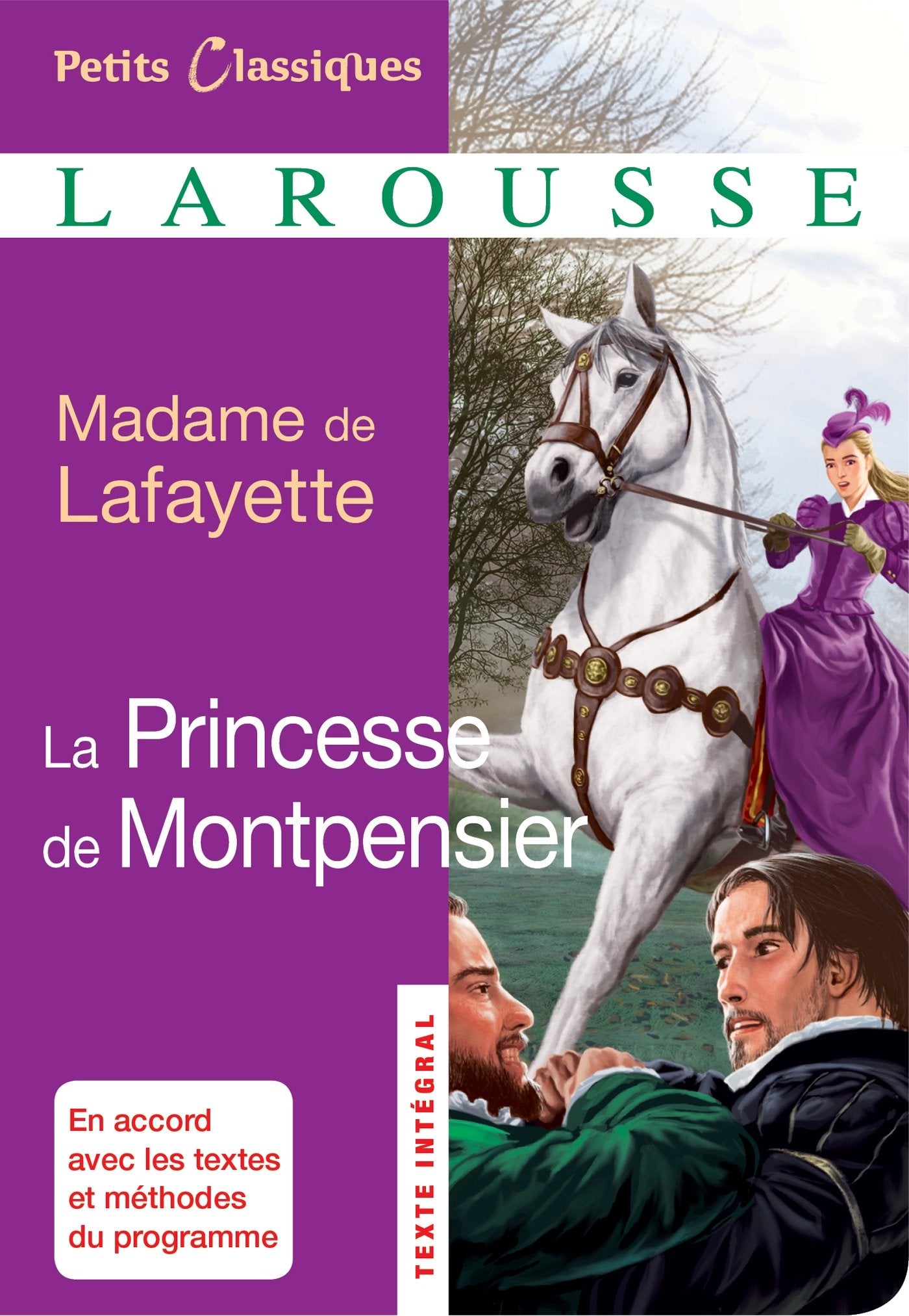 La Princesse de Montpensier book