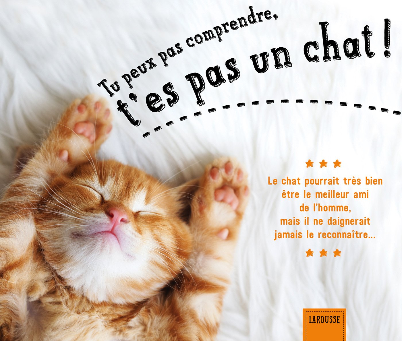 Tu peux pas comprendre, t'es pas un chat ! book