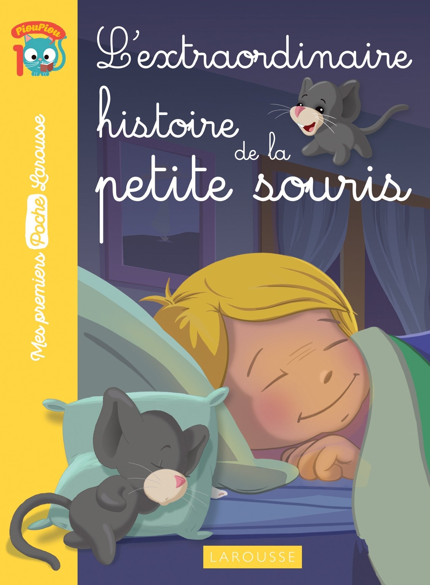 L'extraordinaire histoire de la petite souris book