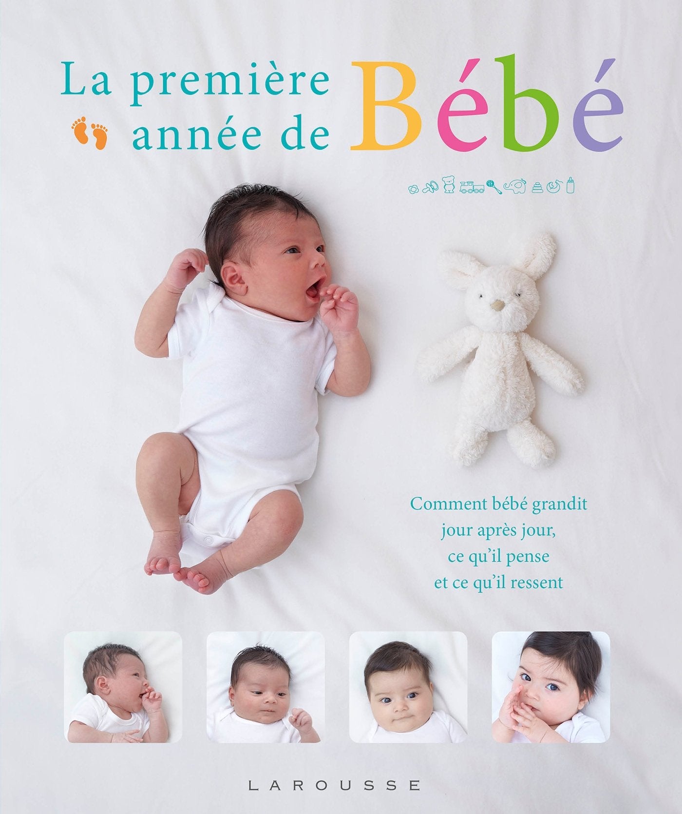 La première année de bébé jour après jour book
