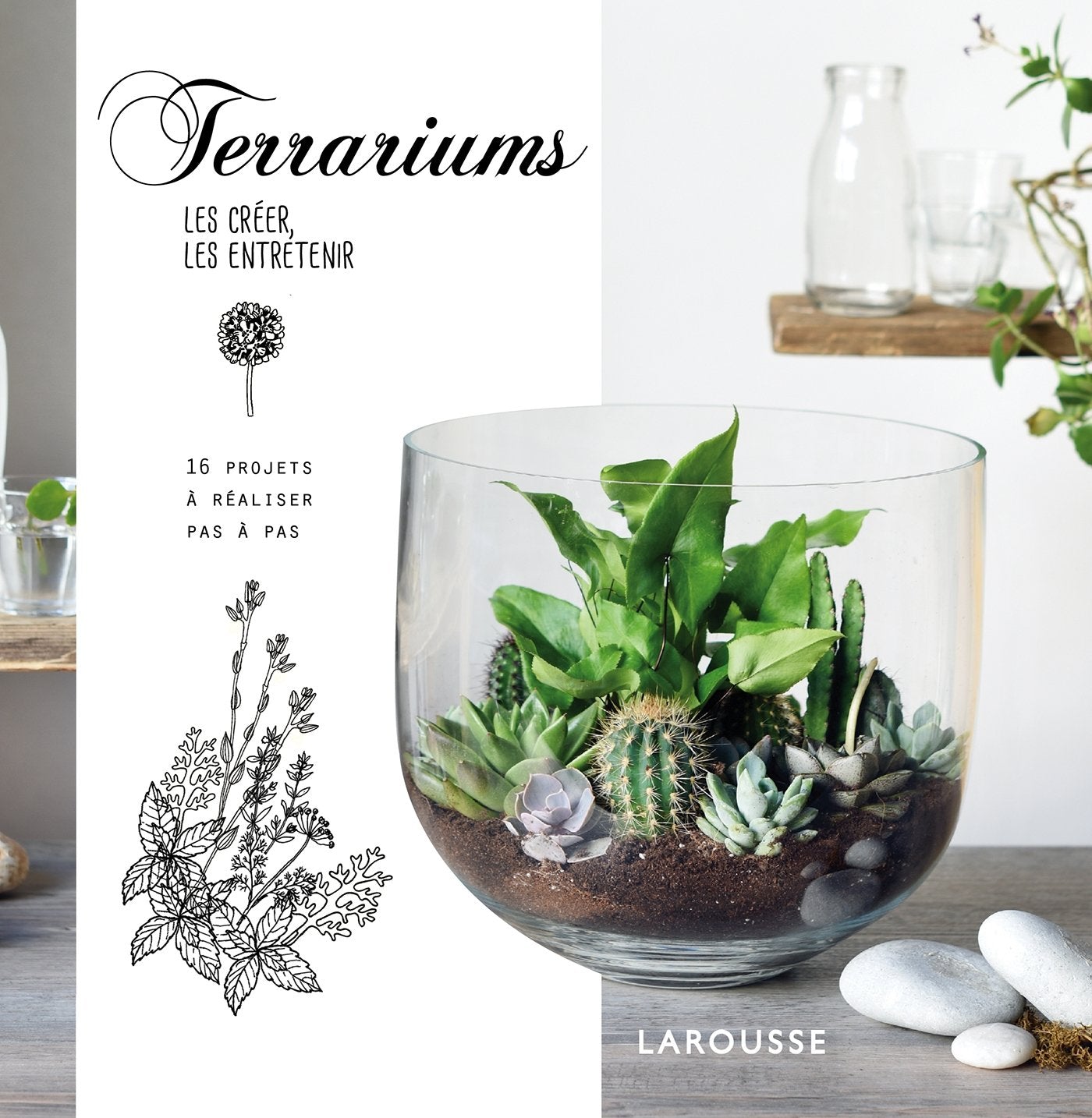 Terrariums, les créer, les entretenir book