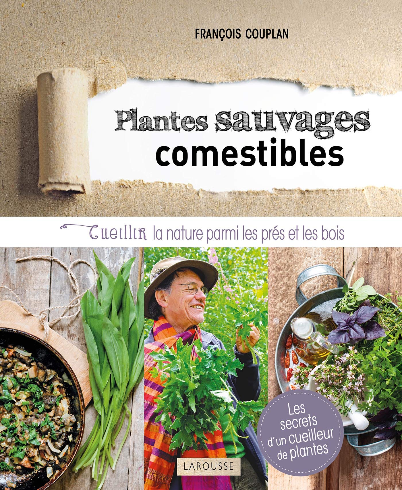 Plantes sauvages comestibles: Cueillir la nature parmi les prés et les bois Leisure, Home & Garden