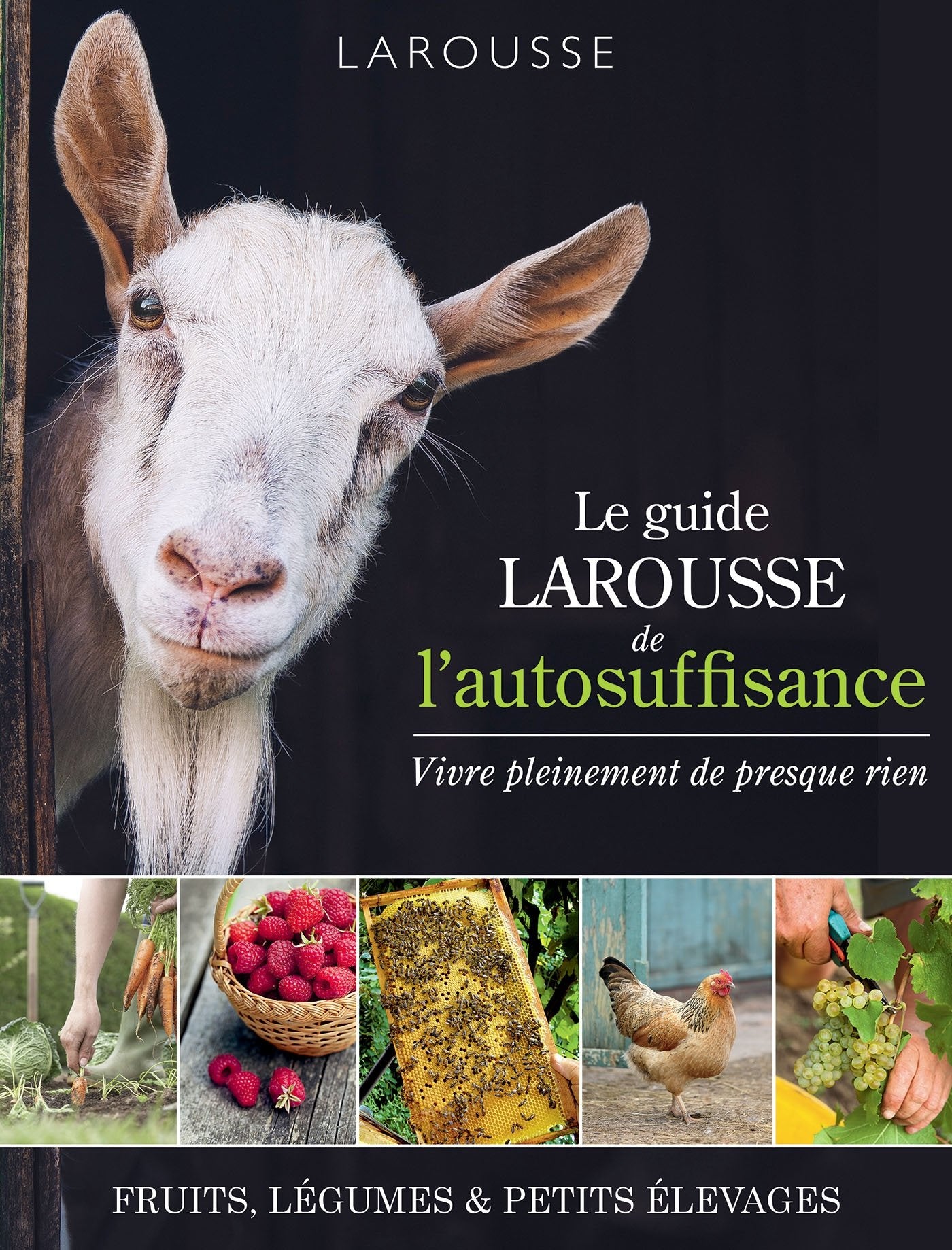 Le guide Larousse de l'autosuffisance: Vivre pleinement de presque rien book