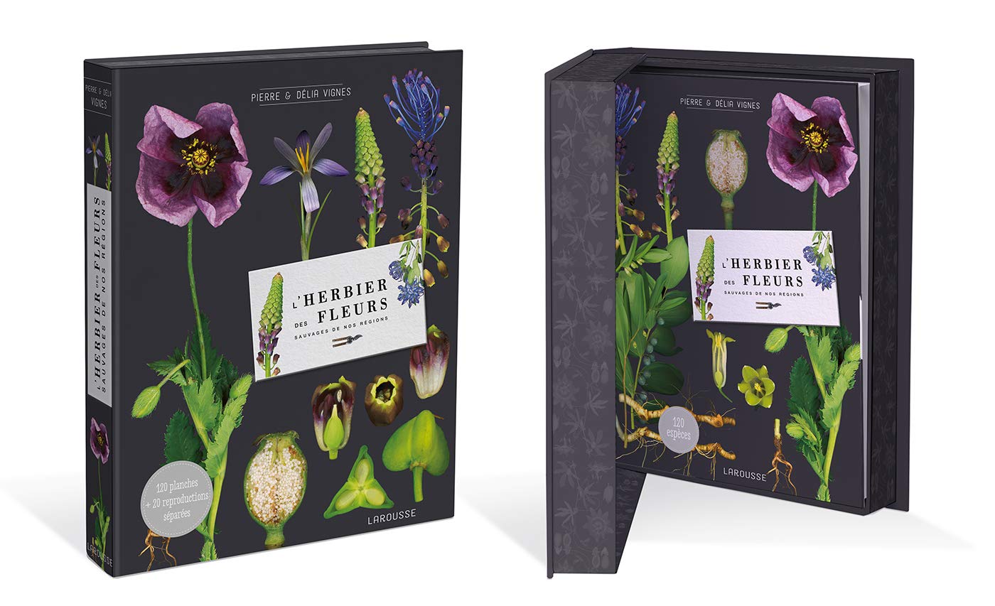 L'herbier des fleurs sauvages de nos régions Leisure, Home & Garden