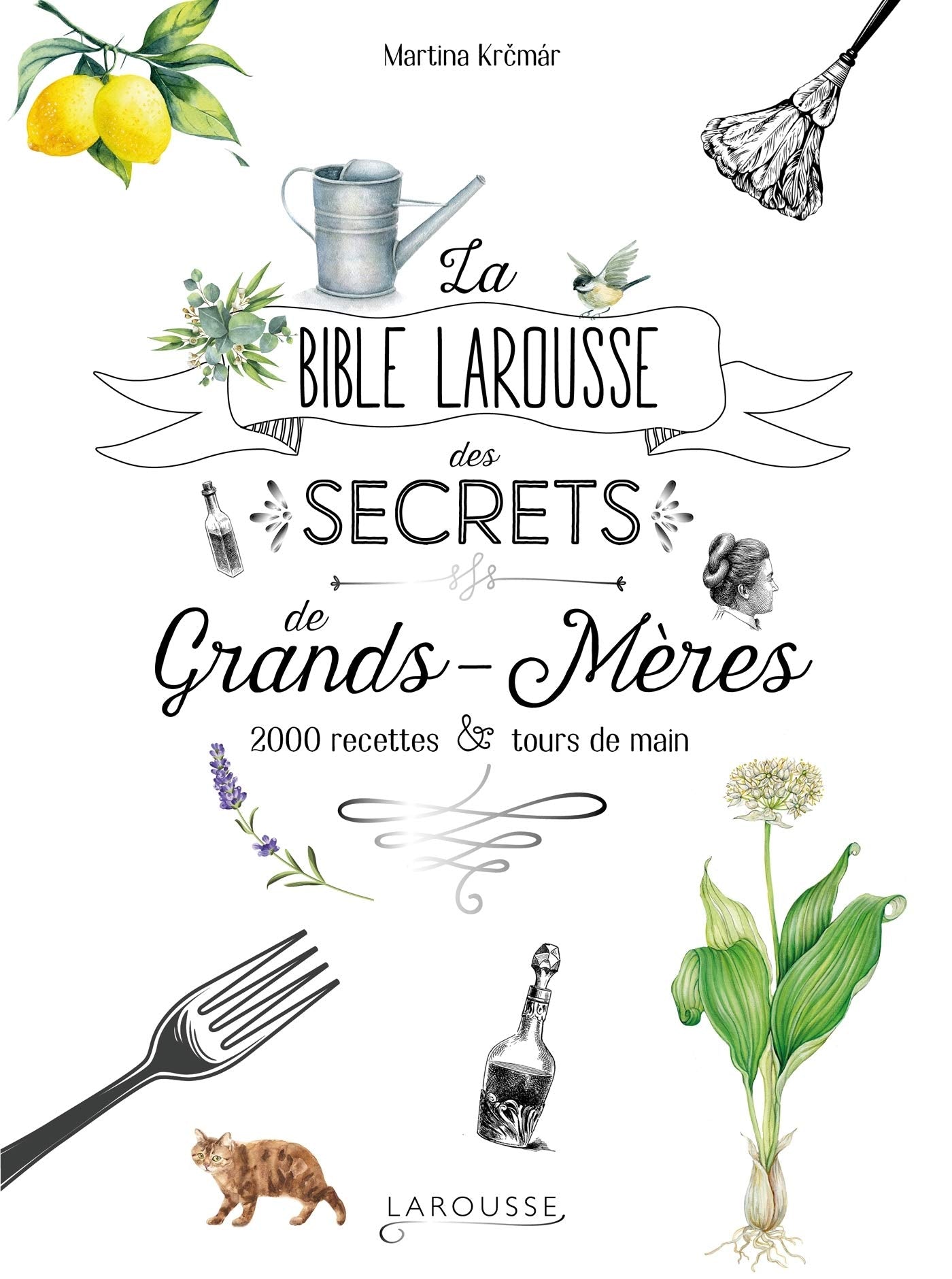 La bible Larousse des secrets de nos grands-mères: 2000 recettes et tours de main Leisure, Home & Garden