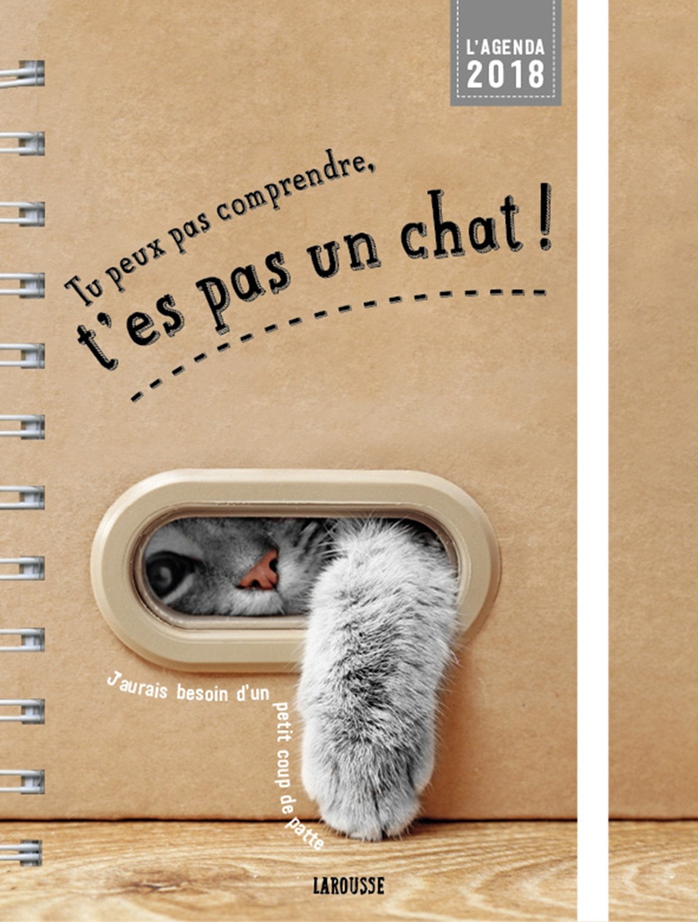 Agenda Tu peux pas comprendre, t'es pas un chat ! Books