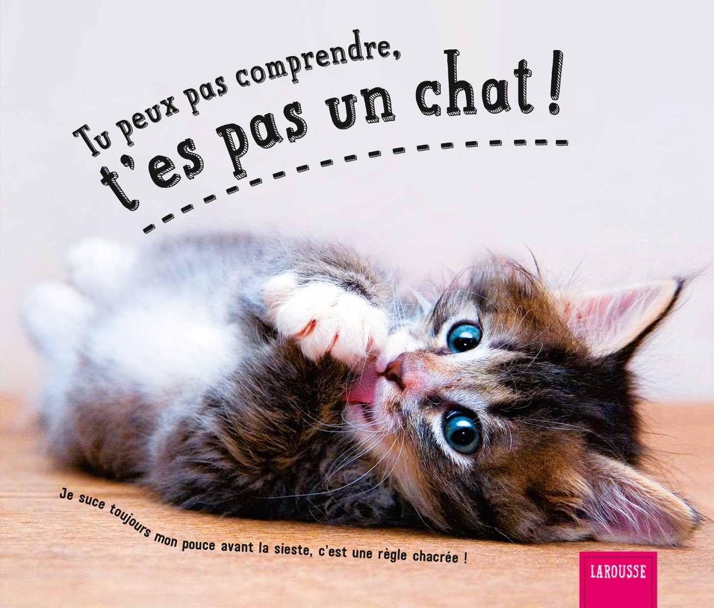 Tu peux pas comprendre, t'es pas un chat: Tome 3 Leisure, Home & Garden