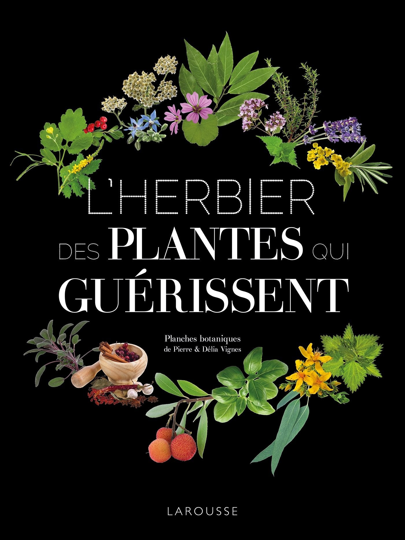 L'Herbier des plantes qui guérissent Books