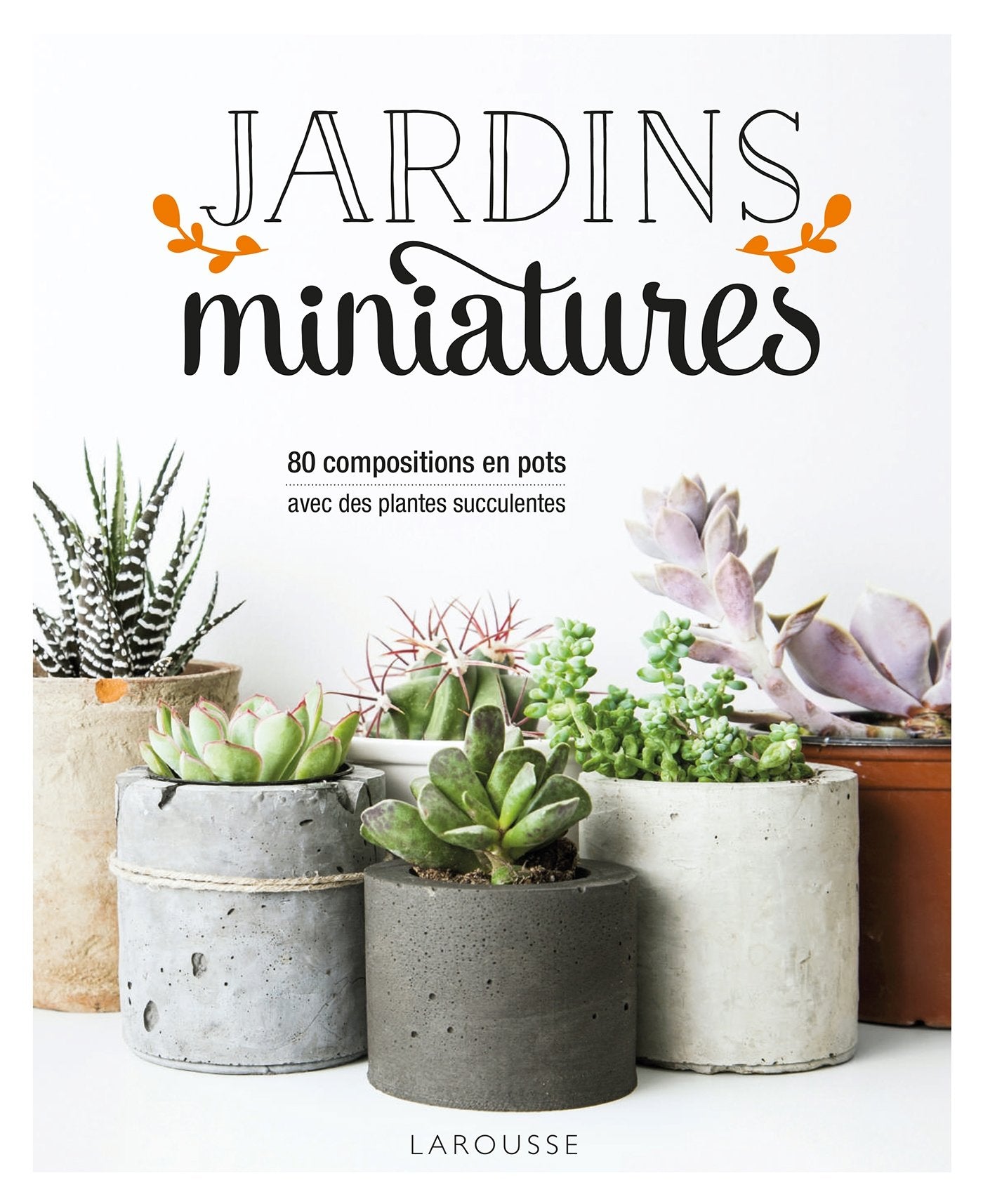 Jardins miniatures avec des plantes succulentes Garden & Plants