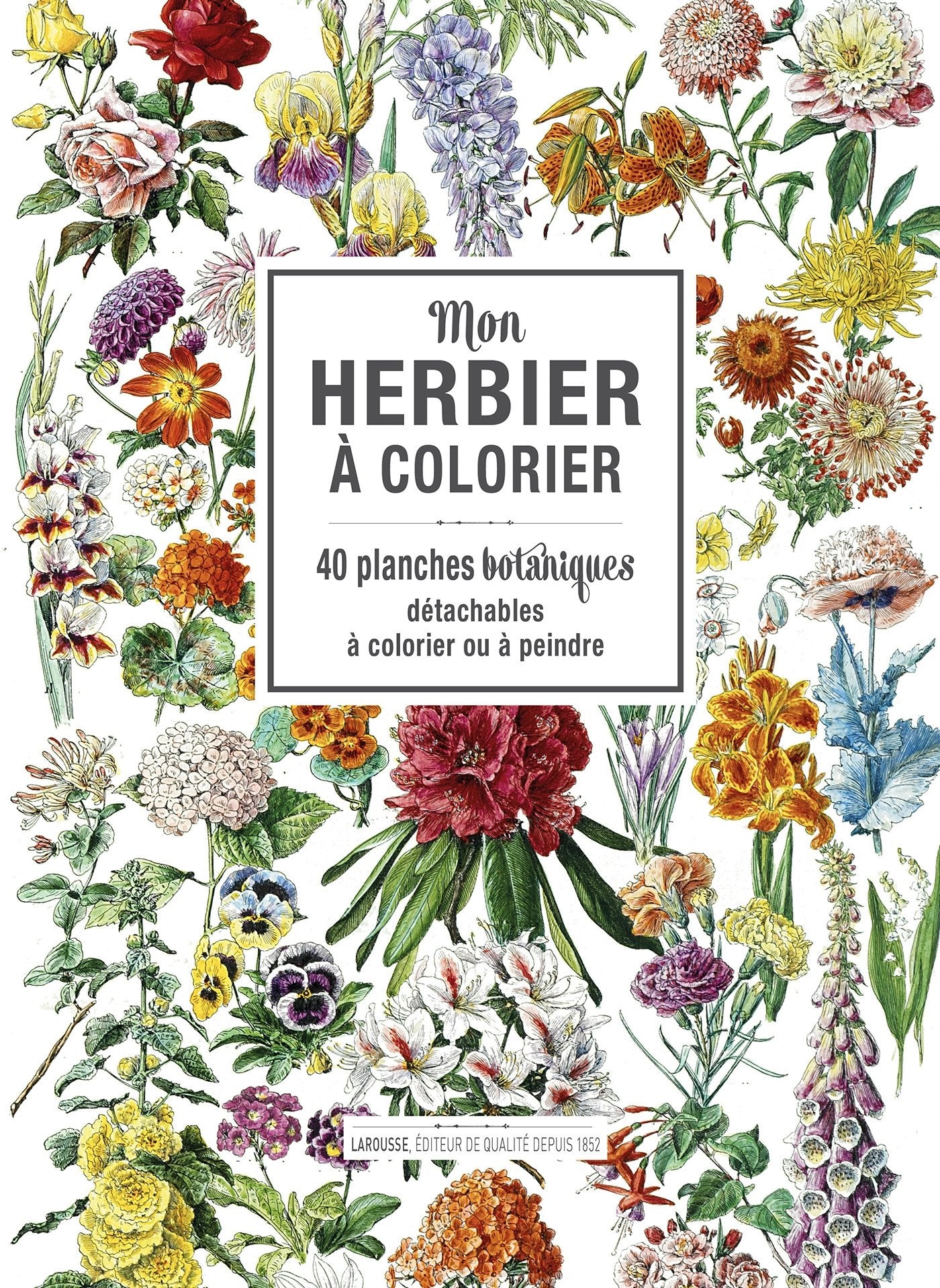 Mon herbier à colorier: 40 planches botaniques détachables à colorier ou à peindre Leisure, Home & Garden