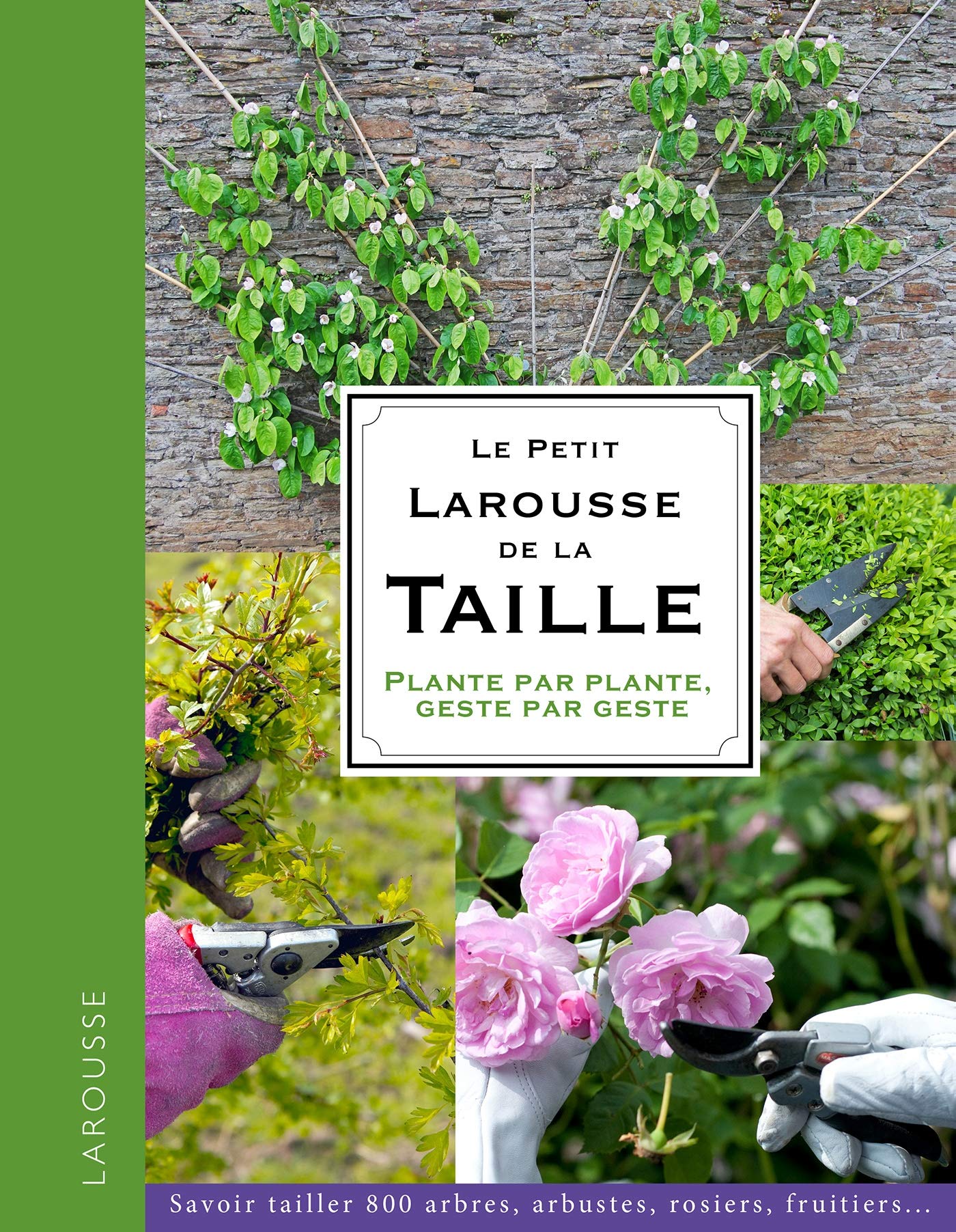 Le Petit Larousse de la taille: Plante par plante, geste par geste Garden & Plants