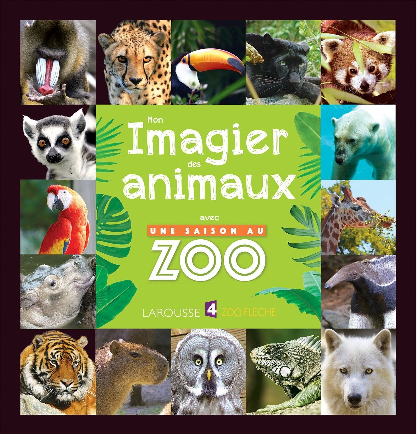 Mon imagier des animaux avec une saison au zoo Non-fiction
