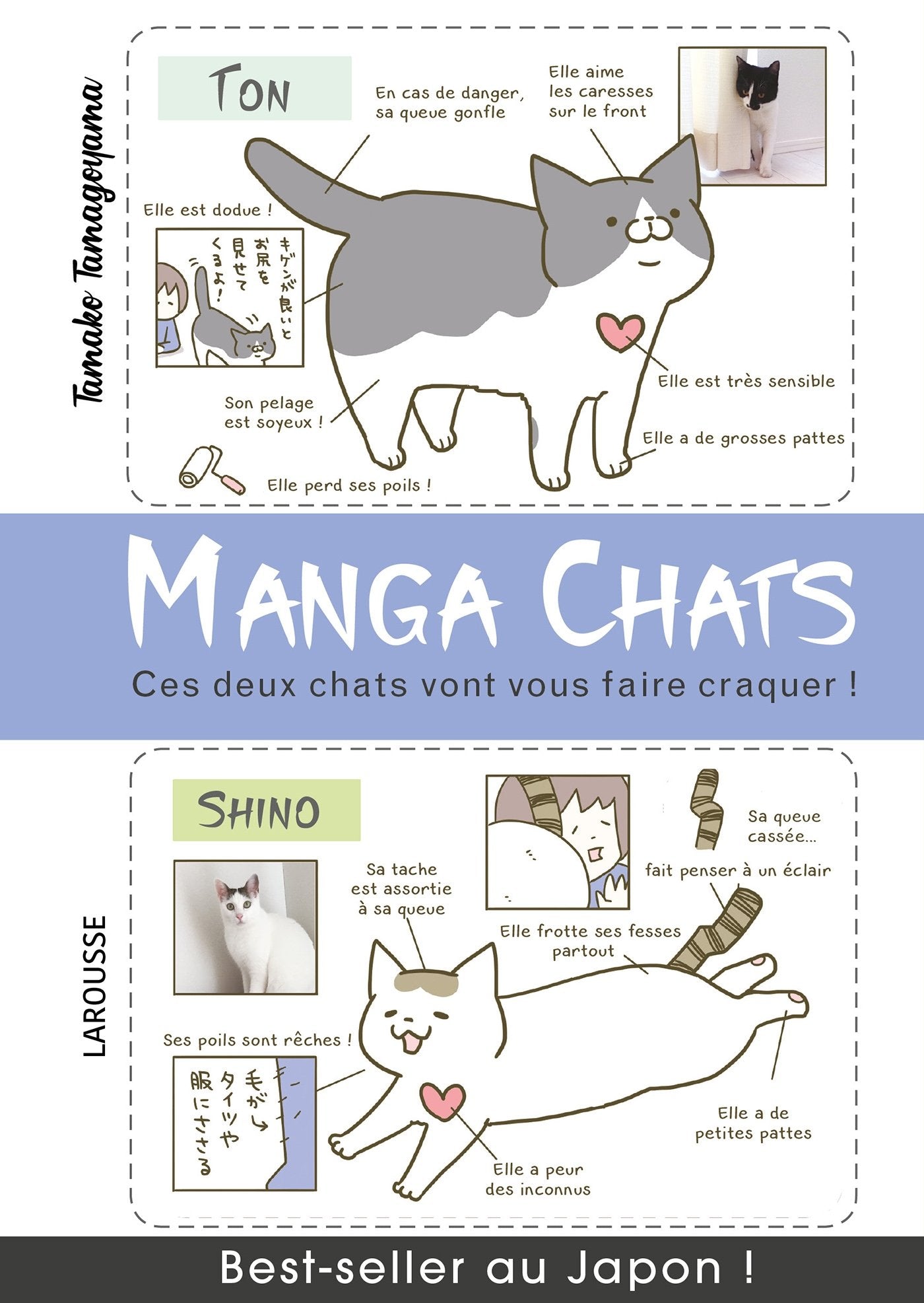 Manga chats: Ces deux chats vont vous faire craquer Manga
