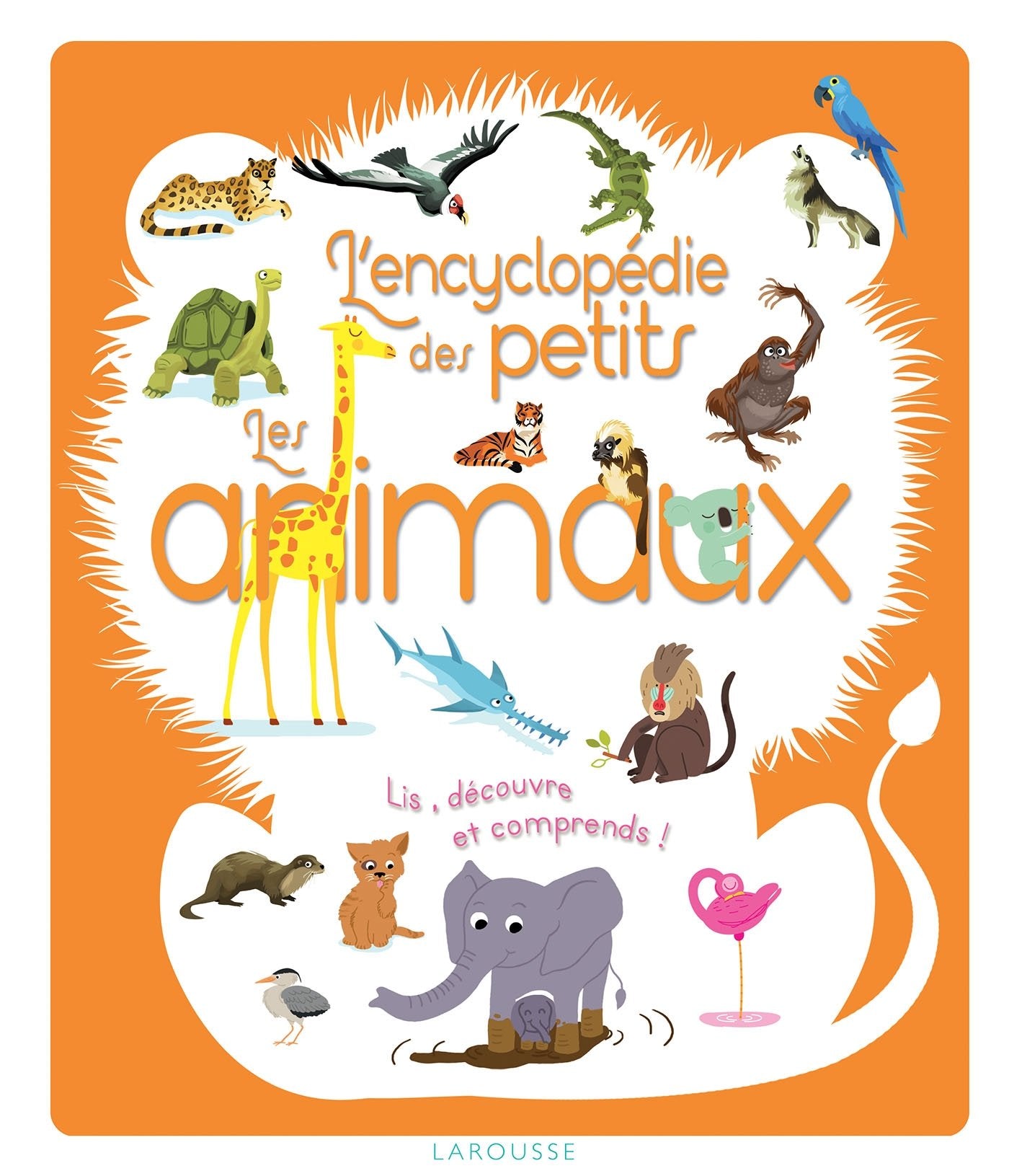 L'encyclopédie des petits les animaux: Lis, découvre et comprends ! Children's books