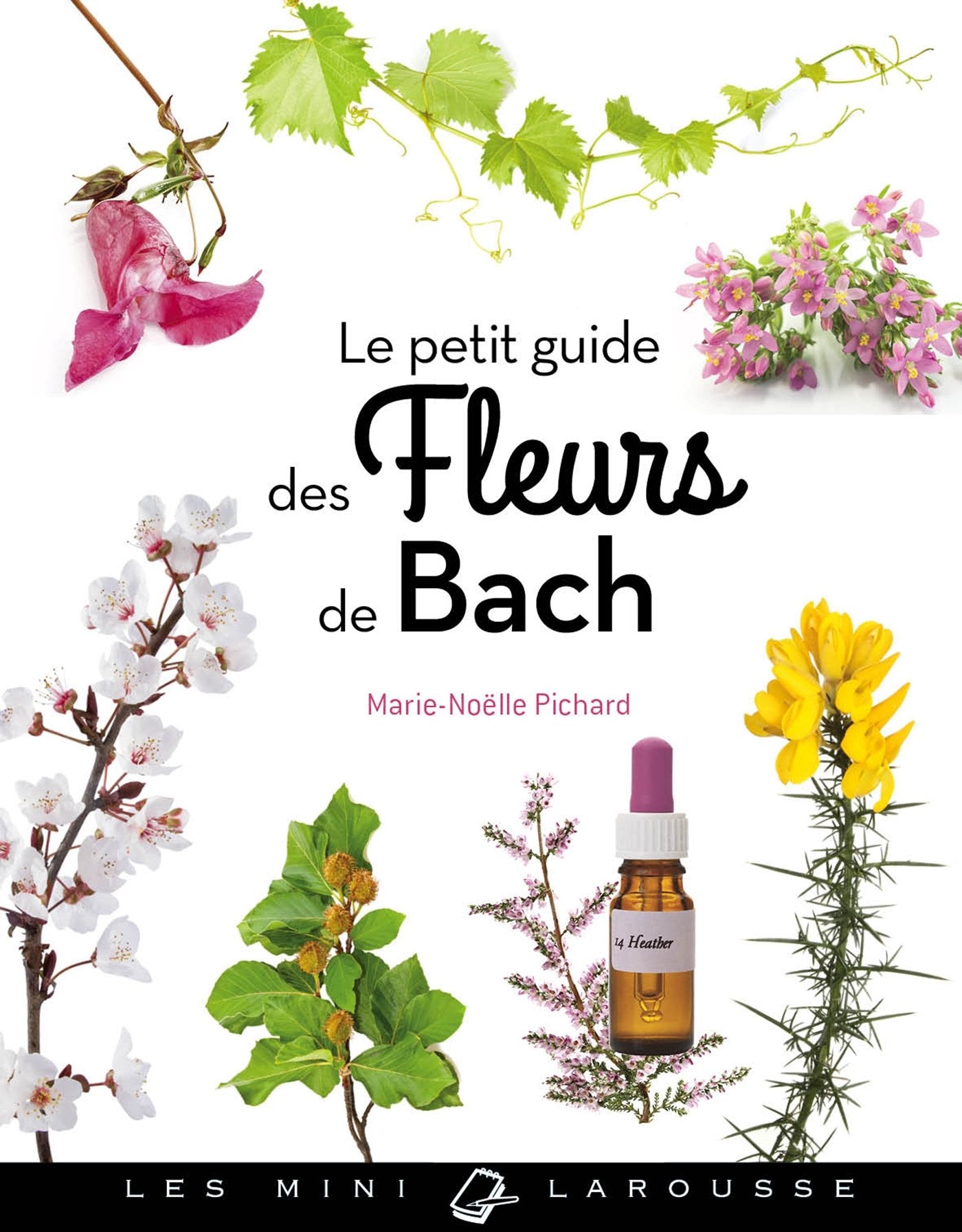 Le petit guide des fleurs de Bach Books