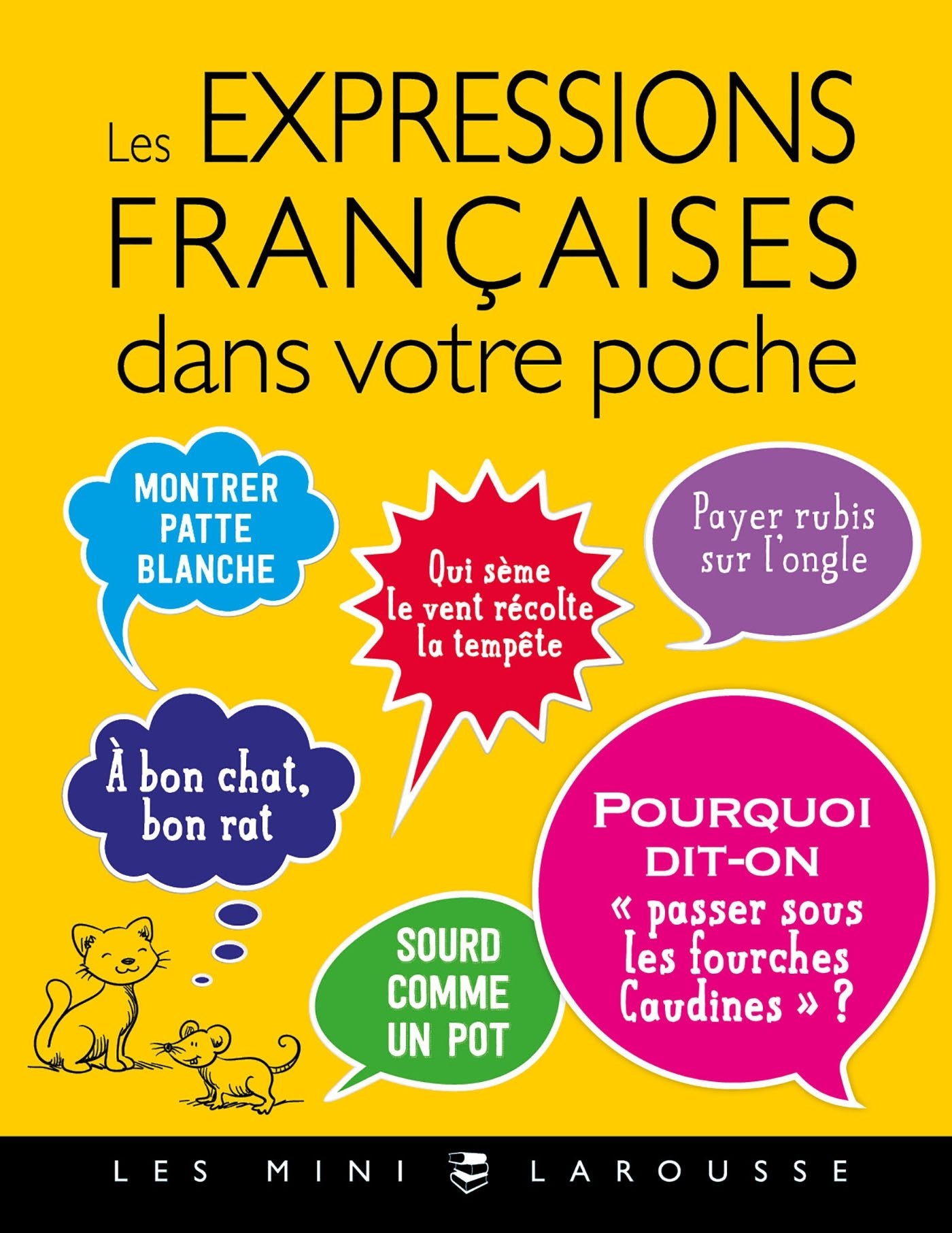 Les expressions Françaises dans votre poche Foreign Languages ​​& Dictionaries