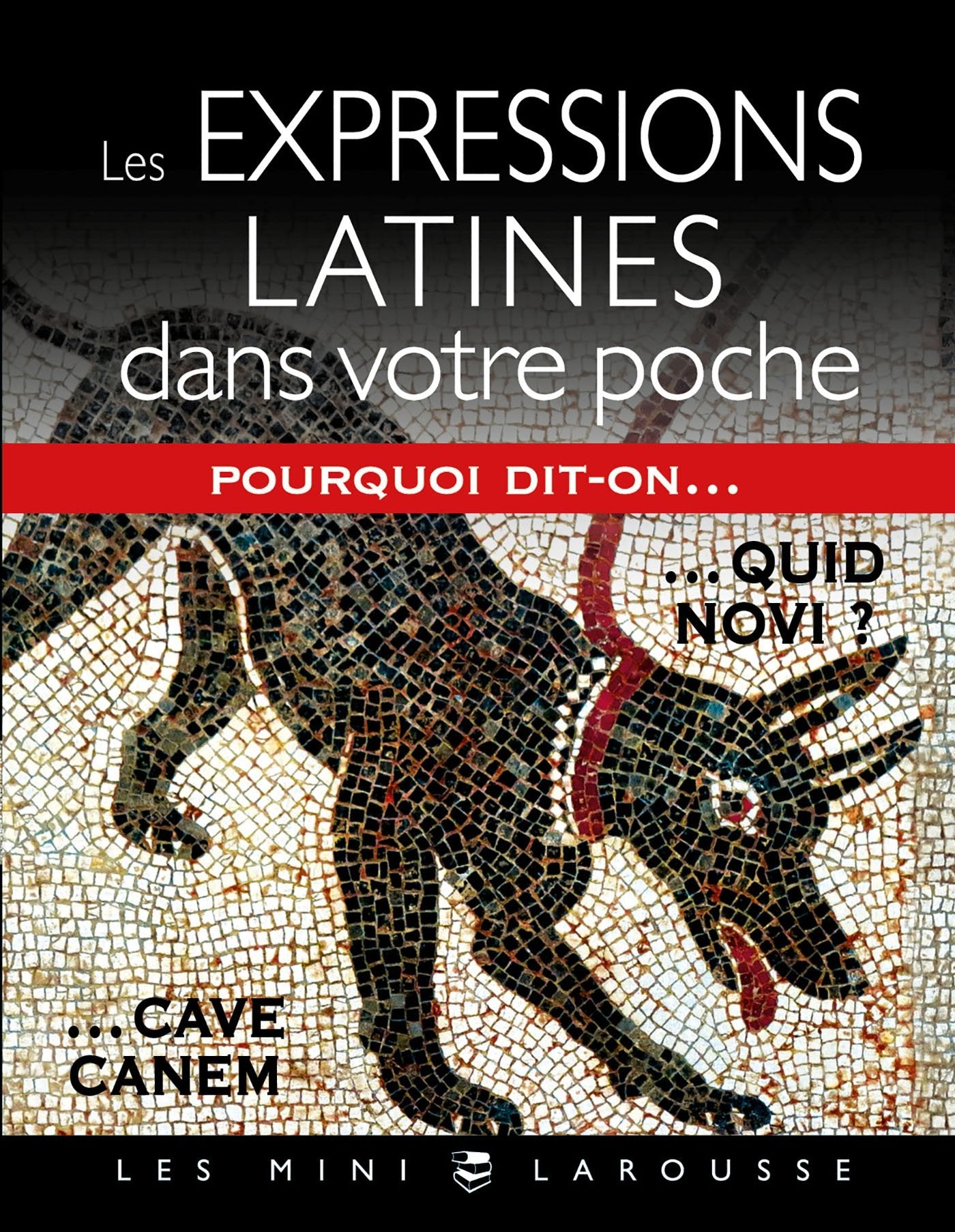 Les expressions latines dans votre poche Foreign Languages ​​& Dictionaries