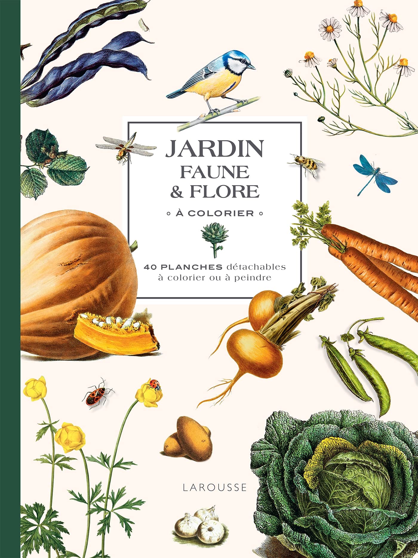 Jardin Faune et flore à colorier: 40 planches détachables à colorier ou à peindre Leisure & Fun
