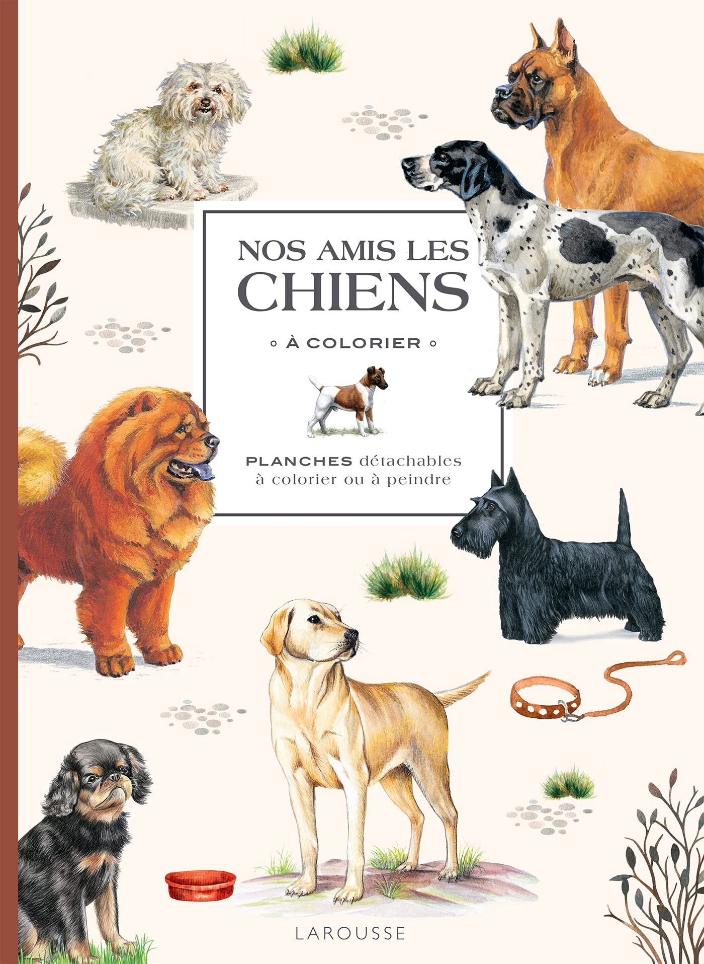 Nos amis les chiens à colorier: Planches détachables à colorier ou à peindre Leisure & Fun