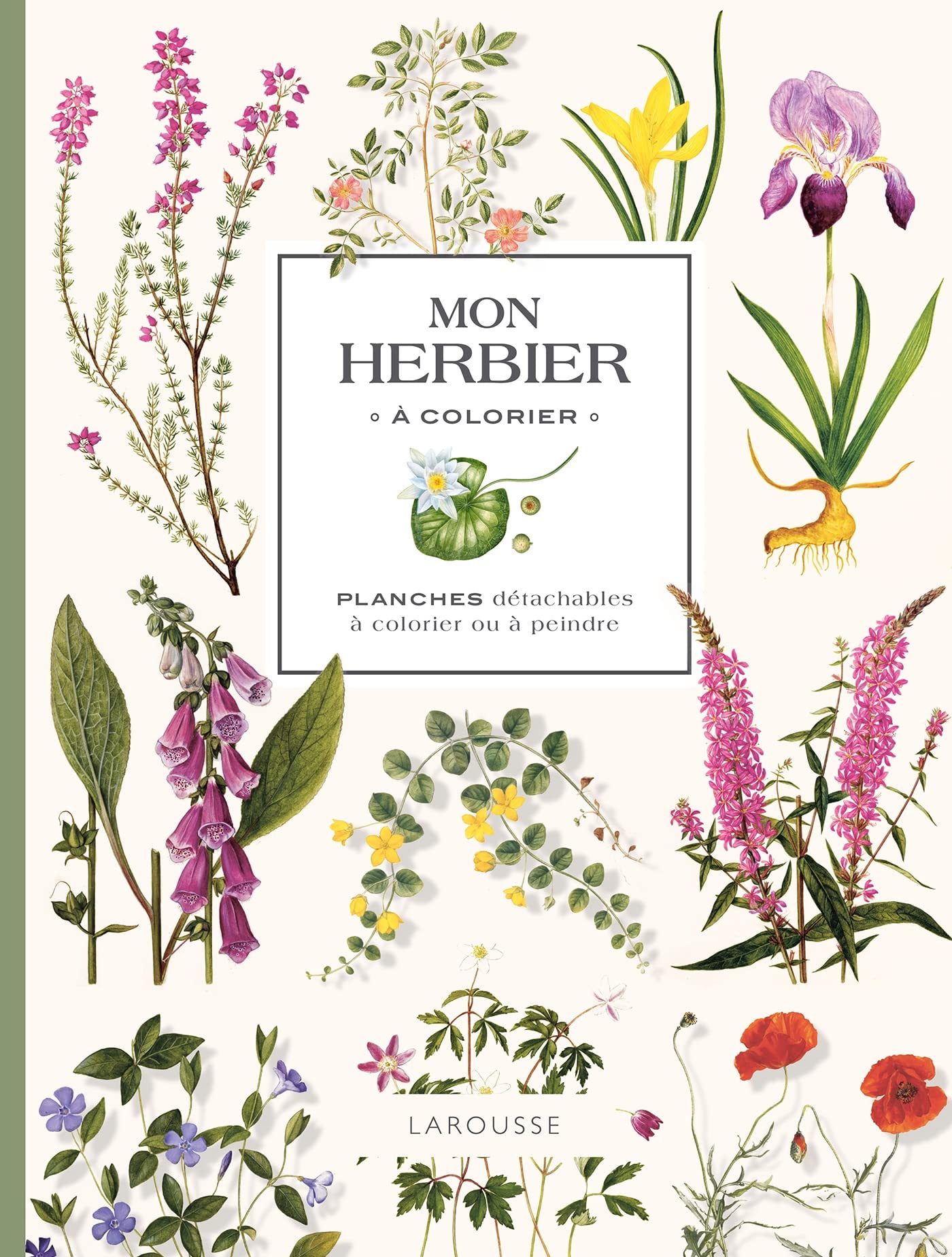 Mon herbier à colorier: Planches détachables à colorier ou à peindre Leisure, Home & Garden