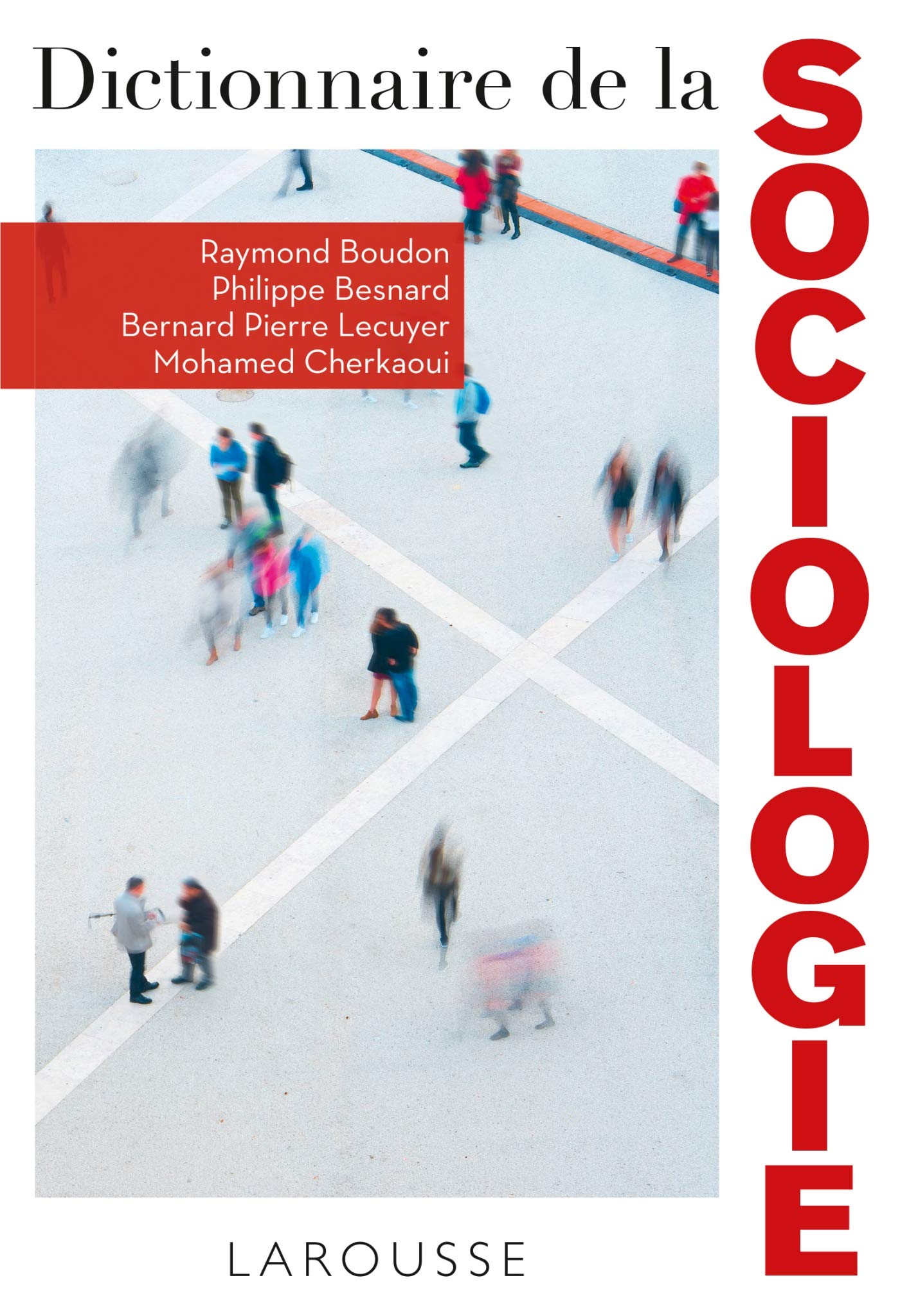 Dictionnaire De La Sociologie General education