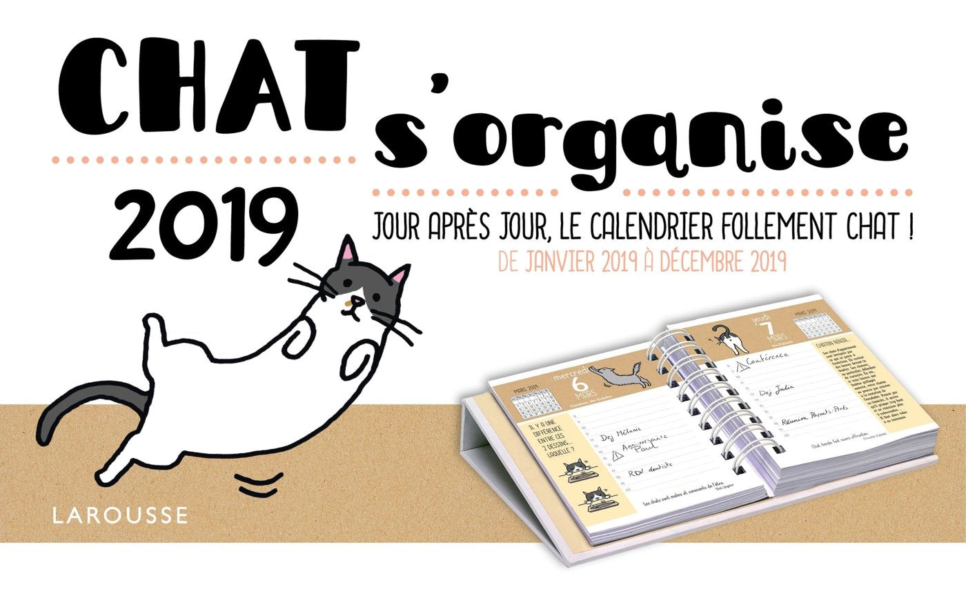 Katze sich organisiert! Tag für Tag, witziger Kalender Januar 2019 bis Dezember 2019 Leisure & Fun