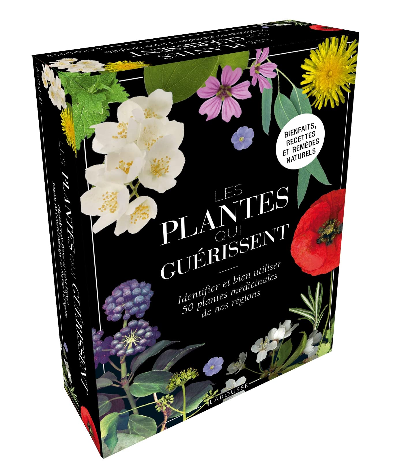 Coffret Les plantes qui guérissent: Identifier et bien utiliser 50 planes médicinales de nos régions Leisure, Home & Garden