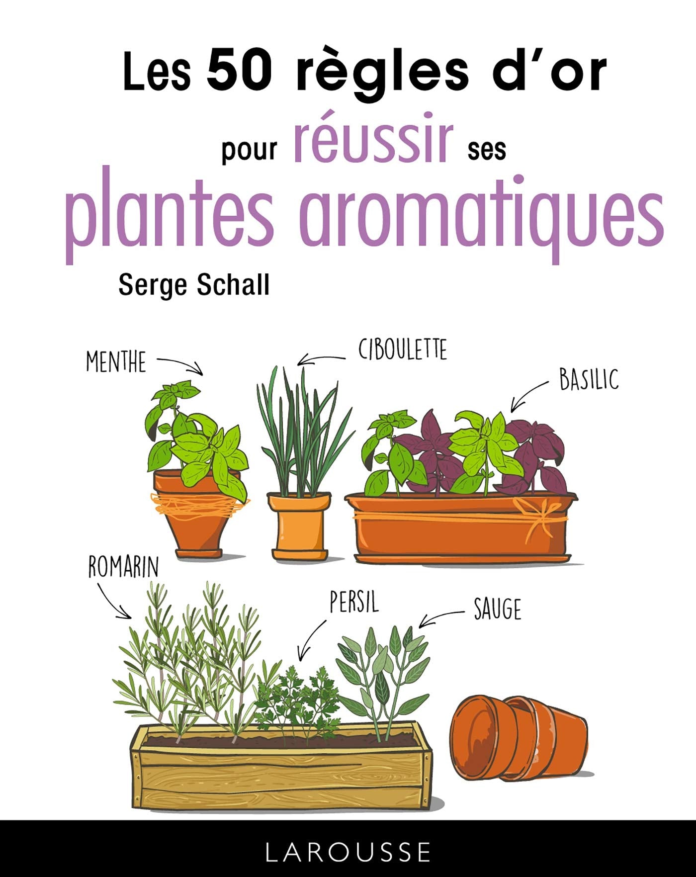 Les 50 règles d'or pour réussir ses plantes aromatiques Leisure, Home & Garden