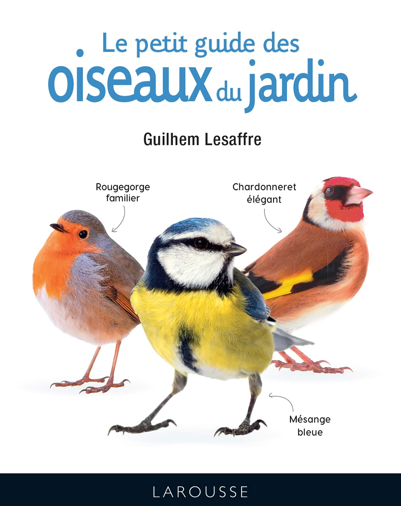 Le petit guide des oiseaux du jardin Leisure, Home & Garden