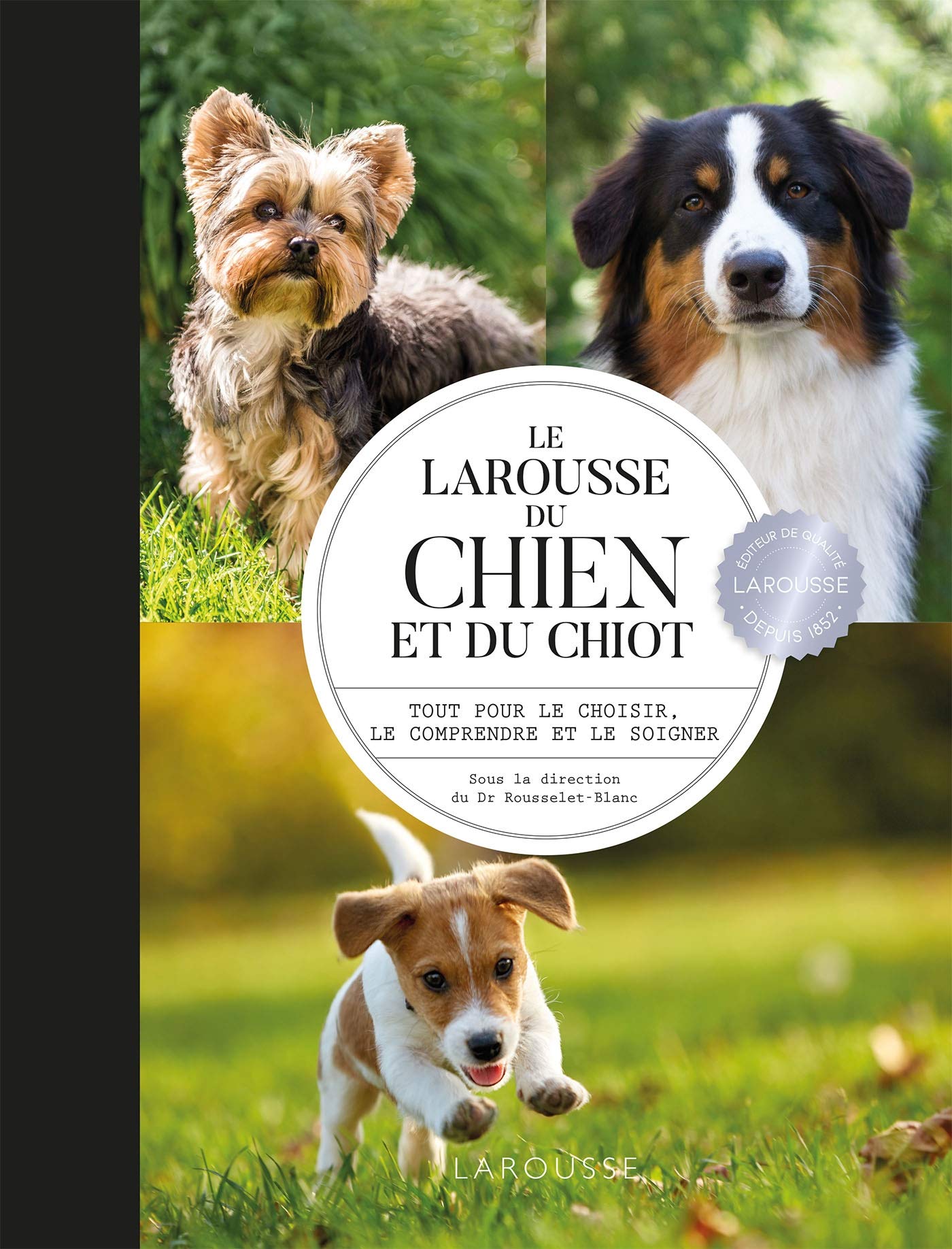 Larousse du chien et du chiot: Tout pour le choisir, le comprendre et le soigner Leisure, Home & Garden