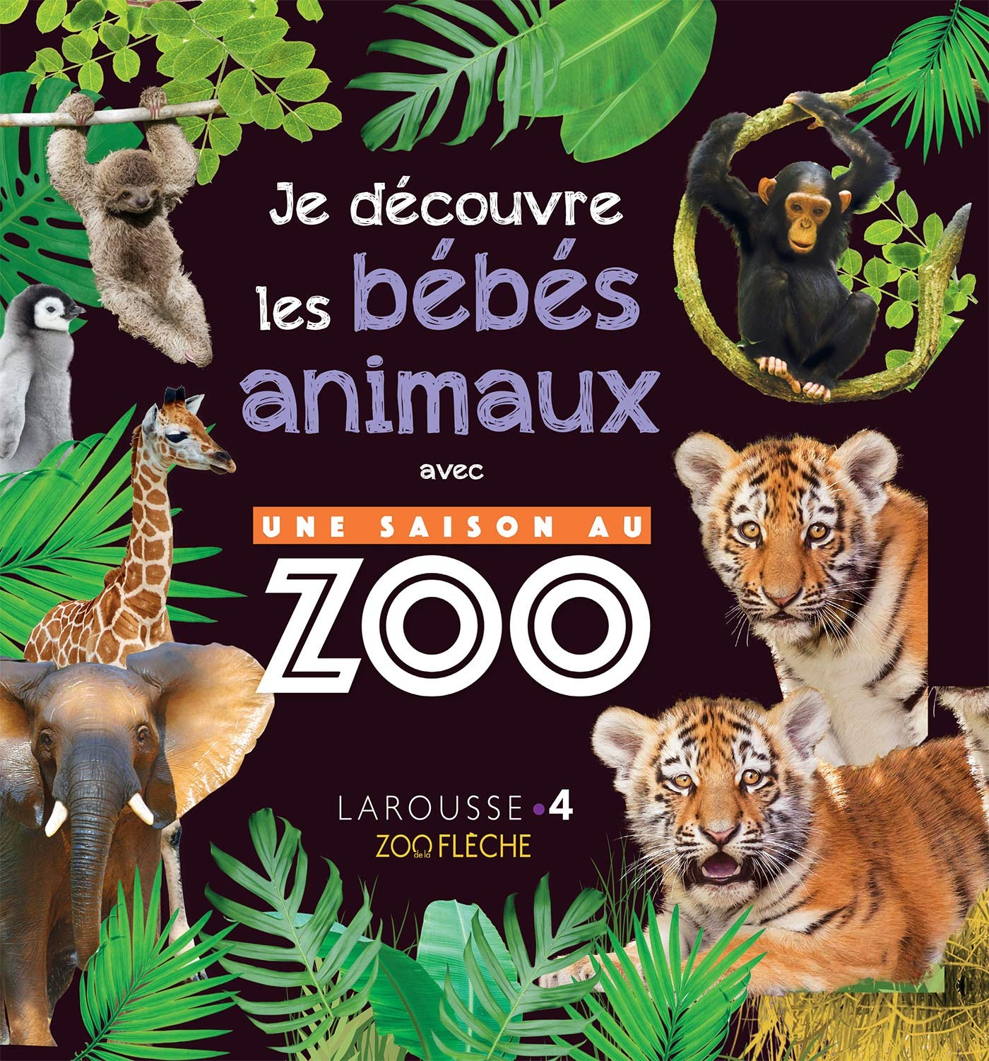 Une saison au zoo - Mon album des bébés animaux book